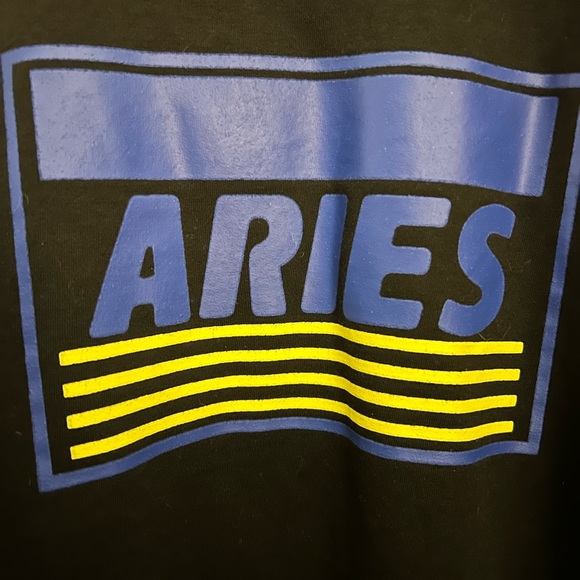 Zaful Aries Lightweight Long Sleeve Crewneck Sweater - Picture 4 of 4